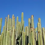 Sunny Vista By Villagrancanaria Villa *