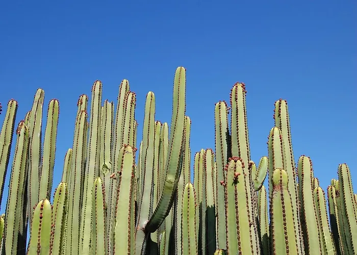 Sunny Vista By Villagrancanaria ヴィラ *