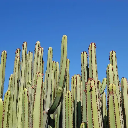 Sunny Vista By Villagrancanaria Вилла *